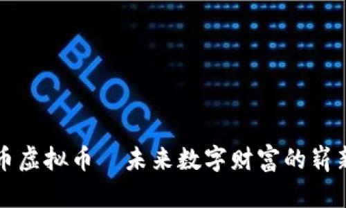 贝壳币虚拟币—未来数字财富的崭新选择