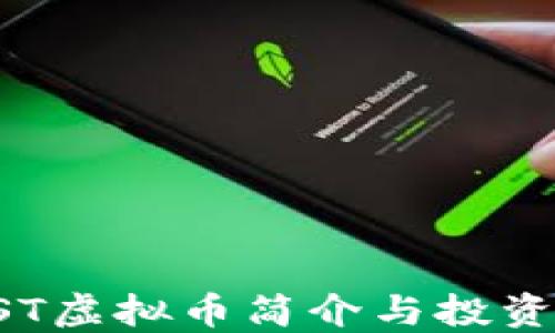 
LPFST虚拟币简介与投资指南