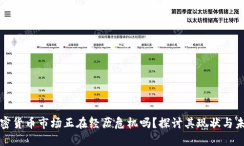 加密货币市场正在经历危机吗？探讨其现状与未来
