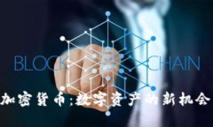 Wise 加密货币：数字资产的新机会与挑战