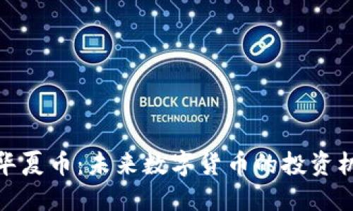 全面了解华夏币：未来数字货币的投资机会与风险