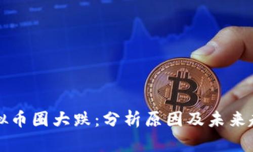 虚拟币圈大跌：分析原因及未来趋势