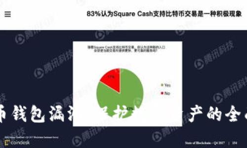 虚拟币钱包漏洞：保护数字资产的全面指南