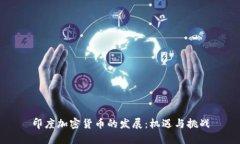 印度加密货币的发展：机遇与挑战