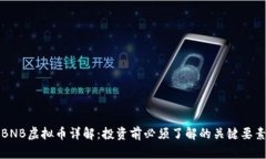 BNB虚拟币详解：投资前必须了解的关键要素