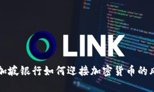 新加坡银行如何迎接加密货币的风潮