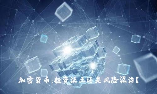 加密货币：投资沃土还是风险泥沼？