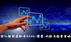 深入解析虚拟币BCHK：前景、风险与投资策略