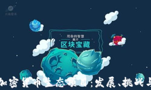 
深入探索加密货币生态项目：发展、挑战与未来前景