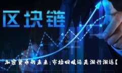 加密货币的未来：市场回暖还是渐行渐远？