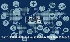 2023年最新加密货币热度分析：如何抓住投资机会
