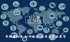 中联虚拟币：如何投资、使用与未来展望