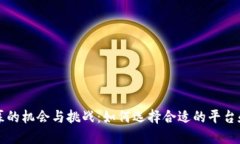 虚拟币招募的机会与挑战：如何选择合适的平台