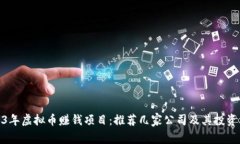 2023年虚拟币赚钱项目：推荐几家公司及其投资机