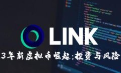 2023年新虚拟币崛起：投资与风险分析