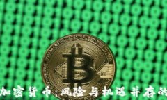 揭秘山寨加密货币：风险与机遇并存的投资选择