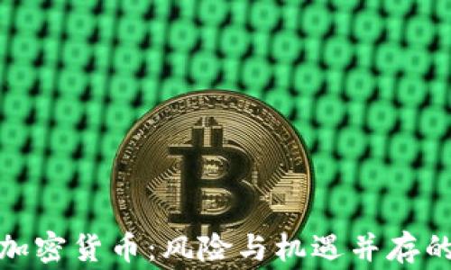 
揭秘山寨加密货币：风险与机遇并存的投资选择