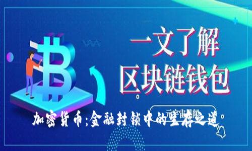 加密货币：金融封锁中的生存之道