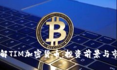 深入了解TIM加密货币：投资前景与市场分析