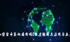 加密货币真的有用吗？深度解析其应用与未来