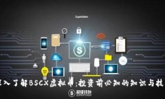 深入了解BSCX虚拟币：投资前必知的知识与技巧