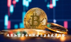 成熟加密货币的现状与未来发展趋势
