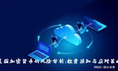 美国加密货币的风险分析：投资须知与应对策略