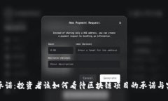 虚拟币承诺：投资者该如何看待区块链项目的承