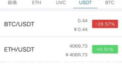 这里是一个且的虚拟币辱华现象及其影响分析