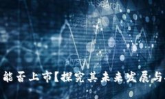 加密货币能否上市？探究其未来发展与投资机会