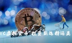 深入解析PAYC虚拟货币：投资新选择还是风险代名