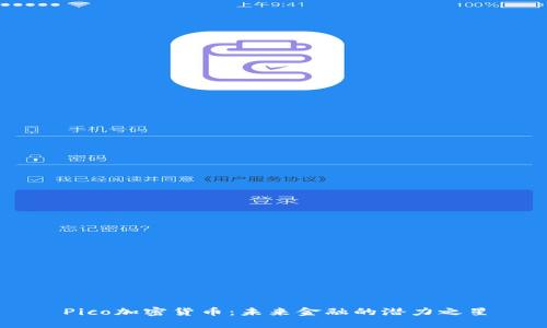 Pico加密货币：未来金融的潜力之星