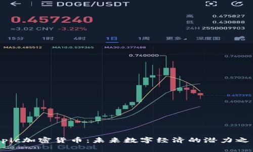 Epic加密货币：未来数字经济的潜力之星