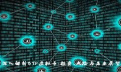 深入解析BTP虚拟币：投资、风险与未来展望