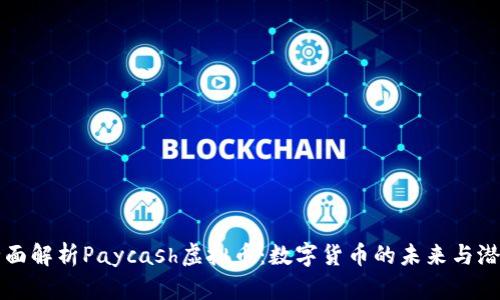 全面解析Paycash虚拟币：数字货币的未来与潜力