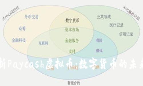 全面解析Paycash虚拟币：数字货币的未来与潜力