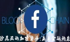 爱沙尼亚的加密货币：未来金融的先锋