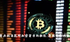  意大利法院对加密货币的拒绝：原因与影响分析