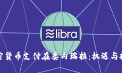 加密货币支付在委内瑞拉：机遇与挑战