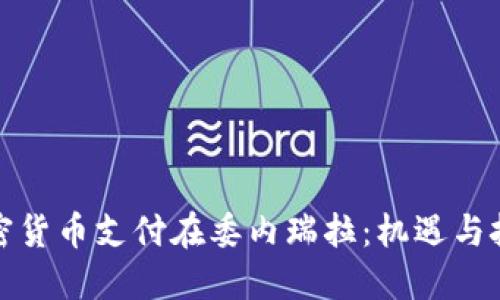 加密货币支付在委内瑞拉：机遇与挑战
