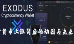 加密货币上涨背后的动因与未来展望