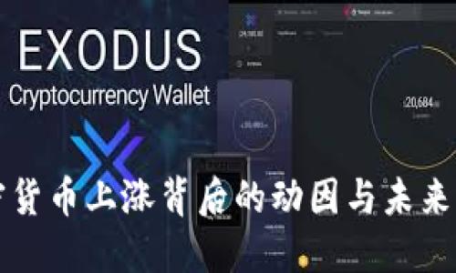 加密货币上涨背后的动因与未来展望