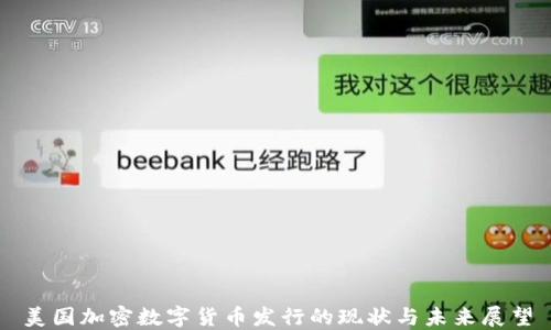 
美国加密数字货币发行的现状与未来展望