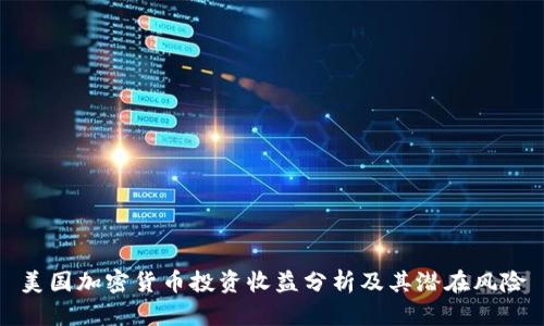 美国加密货币投资收益分析及其潜在风险