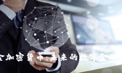 美金加密货币：未来的数字金融革命