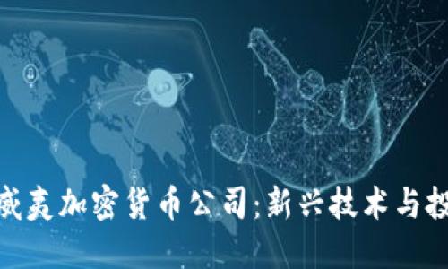 探秘夏威夷加密货币公司：新兴技术与投资机遇