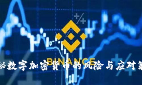 揭秘数字加密货币的风险与应对策略