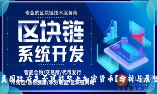 美国政府是否可能禁止加密货币？分析与展望