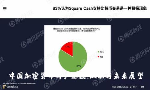 中国加密货币用户总数：现状与未来展望