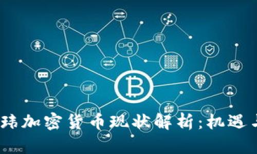 2023年王玮加密货币现状解析：机遇与挑战并存